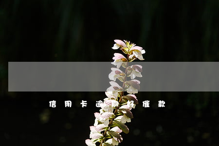 信用卡逾期好催款嗎？是真的嗎？